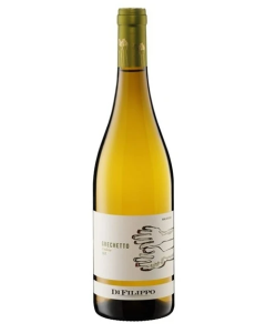 Di Filippo Umbria Grechetto 2024