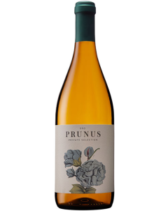 Prunus Dao Branco 2023