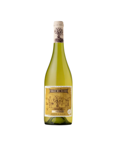 Morande Terroir Semillon 2023