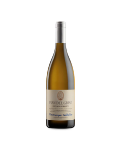 Bossi Fedrigotti Pian del Griso Pinot Grigio 2023