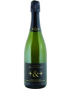 Pinord Seleccion Brut Cava +&+ Penedes NV