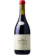 Zuccardi Finca Piedra Infinita Gravascal 2017