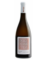 Oenops Kidonitsa 2022