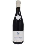 Domaine Pierre Naigeon Bourgogne Pinot Noir Maladieres 2019