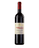 Costa di Bussia Dolcetto d'Alba 2023