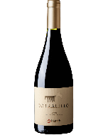 Matetic Corralillo Syrah 2022