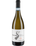 Umani Ronchi Vecchie Vigne Verdicchio dei Castelli di Jesi 2022