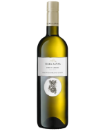 Alois Lageder Terra Alpina Vigneti delle Dolomiti Trentino Pinot Grigio 2023